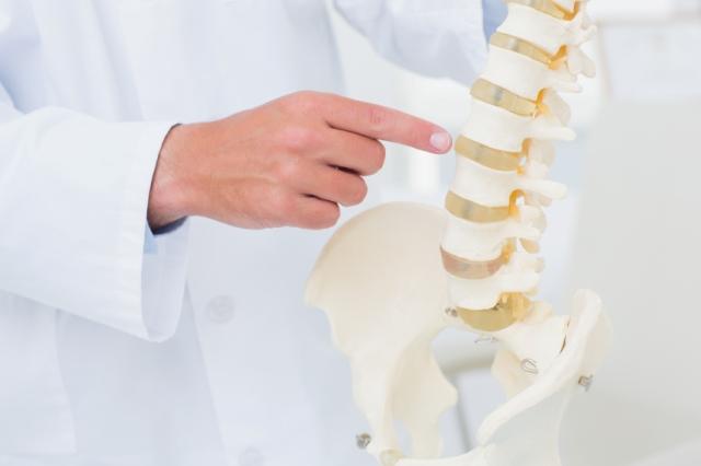 About Spinal Cord Injuries