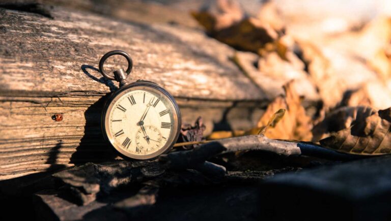 An old looking clock that is setting up a log with leaves around it.