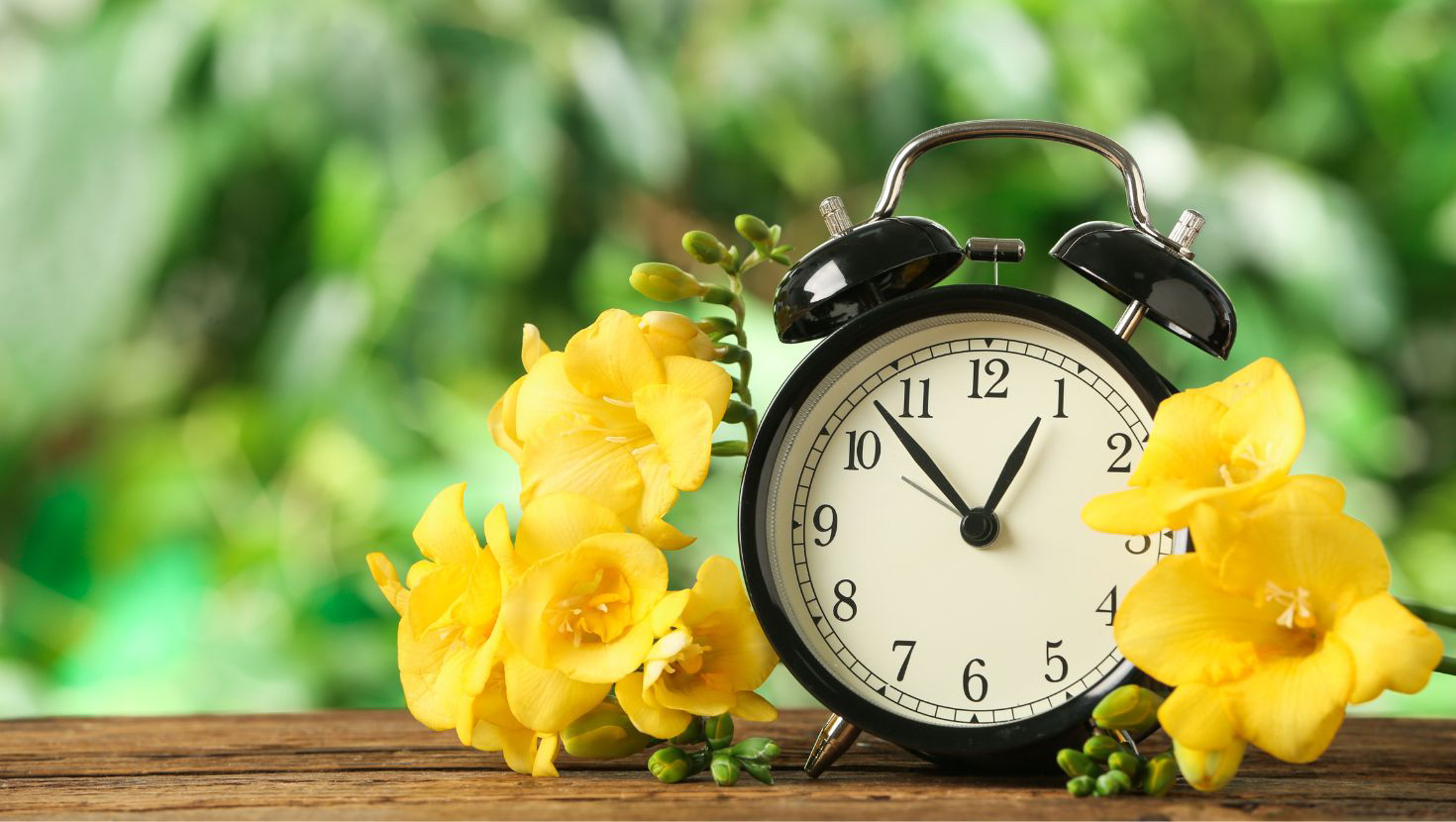 A clock with greenery behind it and yellow flowers