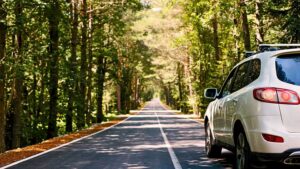 Car on a highway surrounded by trees